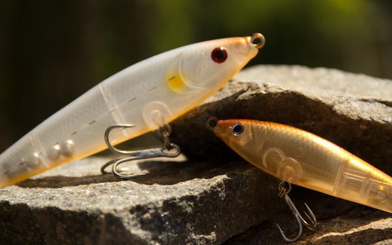 [P.A.] (Alternative fishery) How to choose the lure
